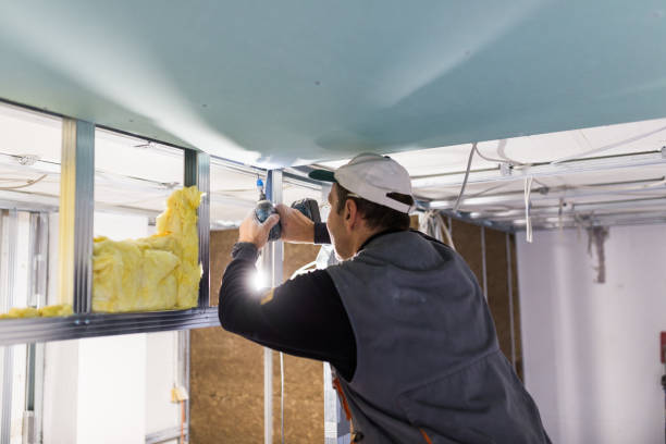 Best Soundproof Insulation  in West Pelzer, SC