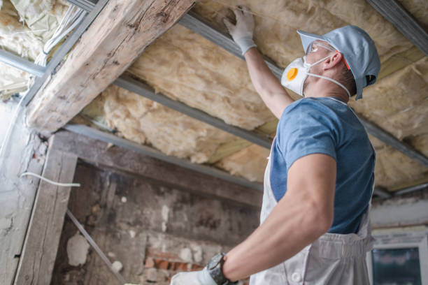 Best Attic Insulation Installation  in West Pelzer, SC