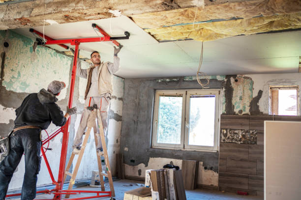 Best Eco-Friendly or Green Insulation Solutions  in West Pelzer, SC